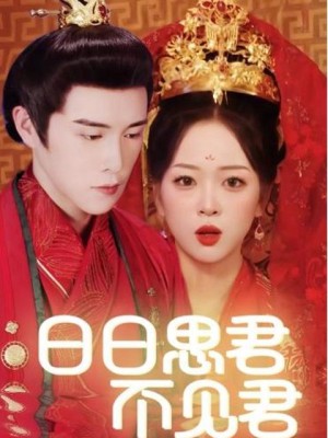 Nhớ Em Mỗi Ngày - 日日思君不见君 (2025)