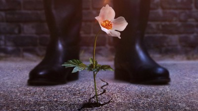 Thế Giới Của Phát Xít (Phần 2) - The Man in the High Castle (Season 2)