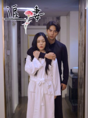 Theo Đuổi Vợ Tôi - 追妻 (2025)